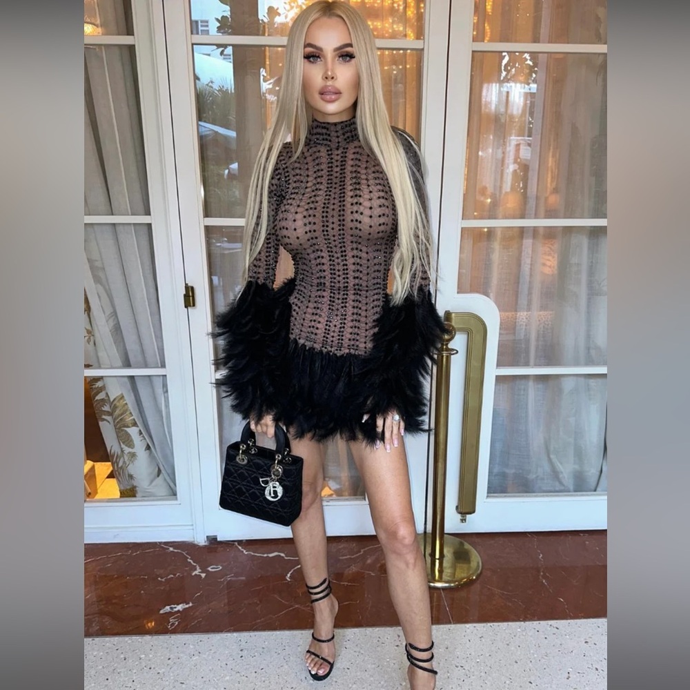 JESSICA BARA HEATHER LONG SLEEVE FEATHER BEADED MINI DRESS